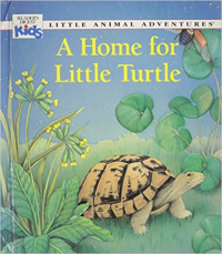 Image of A home for Little Turtle