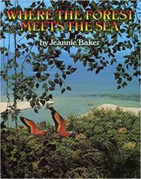Image of Where the forest meets the sea