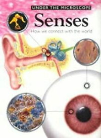 Image of Senses : how we connect with the world