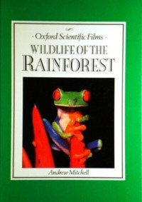 Image of Wildlife of the rainforest