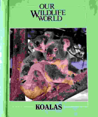 Image of Koalas