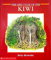 Image of The life cycle of the kiwi