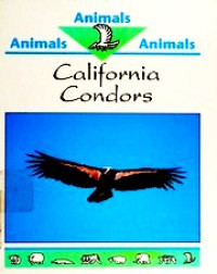 Image of California condors