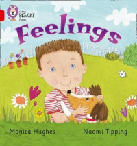 Image of Feelings