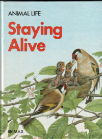 Image of Staying alive