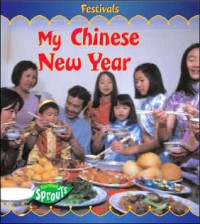 Image of My Chinese New Year