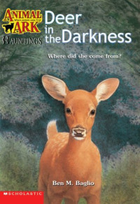 Image of Deer in the darkness