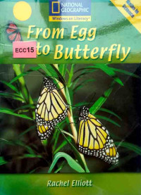Image of From egg to butterfly