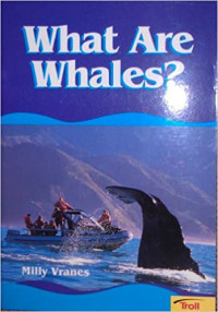 Image of What are whales?