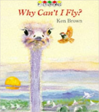 Image of Why can't I fly?