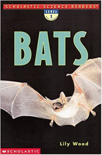 Image of Bats