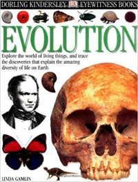 Image of Evolution