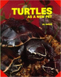 Image of Turtles as a new pet