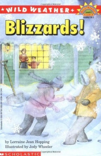 Image of Blizzards!