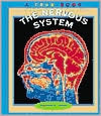 Image of The nervous system