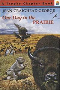 Image of One day in the prairie