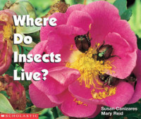 Image of Where do insects live?