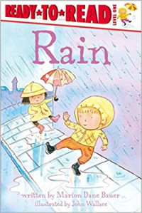 Image of Rain
