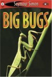 Image of Big bugs