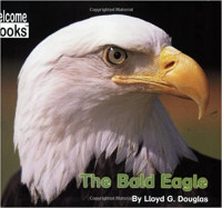 Image of The bald eagle