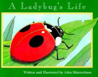 Image of A ladybug's life