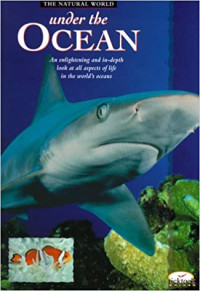 Image of Under the ocean
