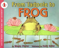 Image of From tadpole to frog