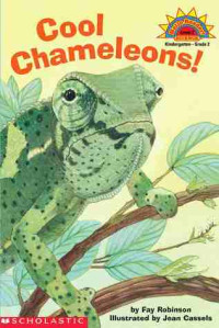 Image of Cool chameleons!