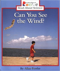 Image of Can you see the wind?