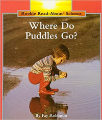 Image of Where do puddles go?