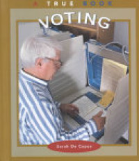 Image of Voting