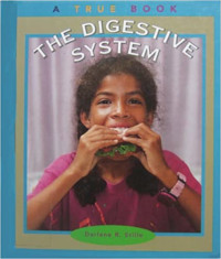 Image of The digestive system