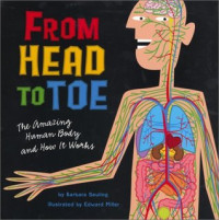 Image of From head to toe : the amazing human body and how it works