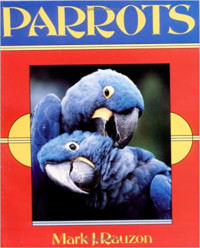 Image of Parrots