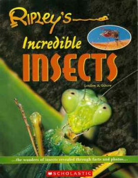 Image of Ripley's incredible insects