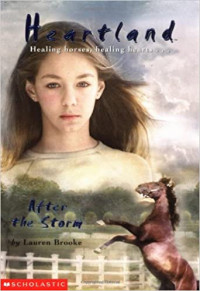 Image of After the storm