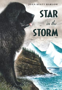 Image of Star in the storm