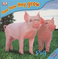 Image of Pig