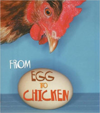 Image of From egg to chicken