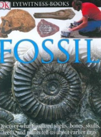 Image of Fossil