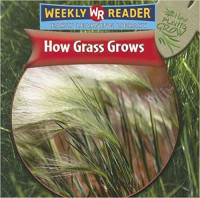 Image of How grass grows