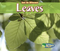 Image of Leaves