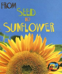 Image of From seed to sunflower