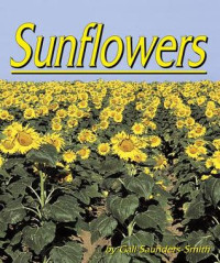 Image of Sunflowers