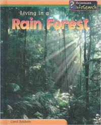 Image of Living in a rain forest