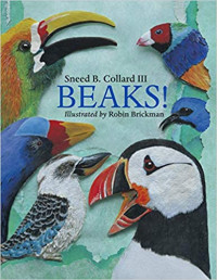 Image of Beaks!