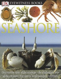 Image of Seashore