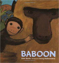 Image of Baboon