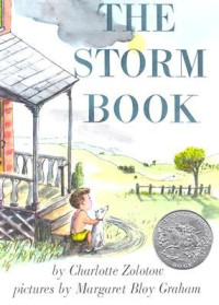 Image of The storm book