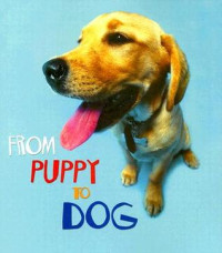 Image of From puppy to dog